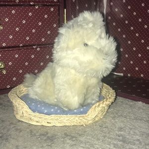 American Girl | Coconut